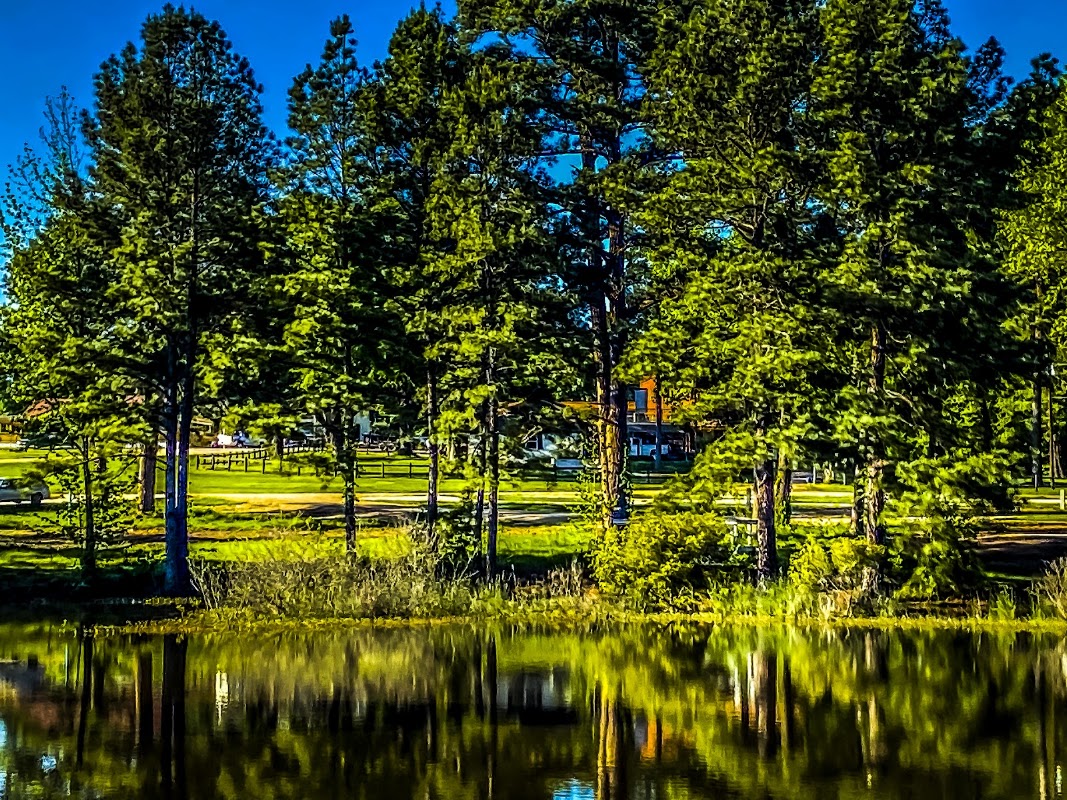 Forest Lake RV Park & Events LLC