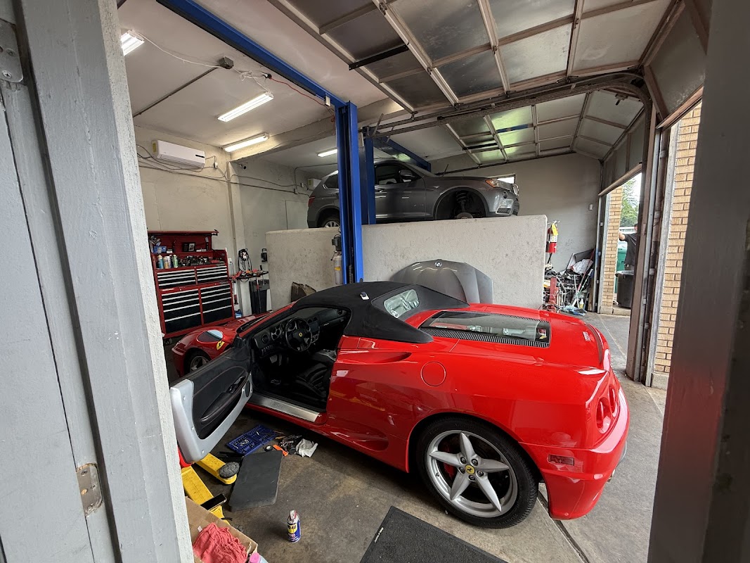 Texarkana Motors