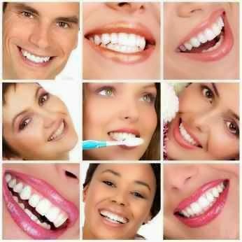 David L Steele DDS