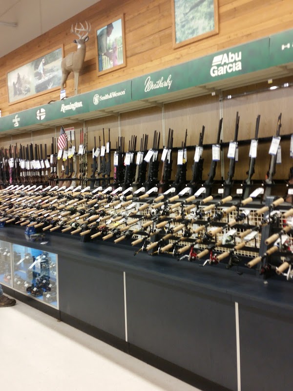 Academy Sports + Outdoors