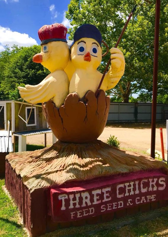 Three Chicks | Feed, Seed & Cafe