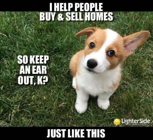 Darla Wilf, Realtor