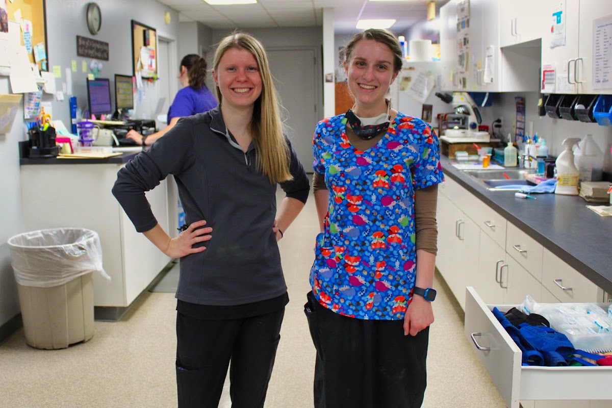 Wisdom Animal Clinic