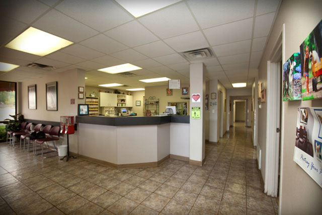 Wisdom Animal Clinic