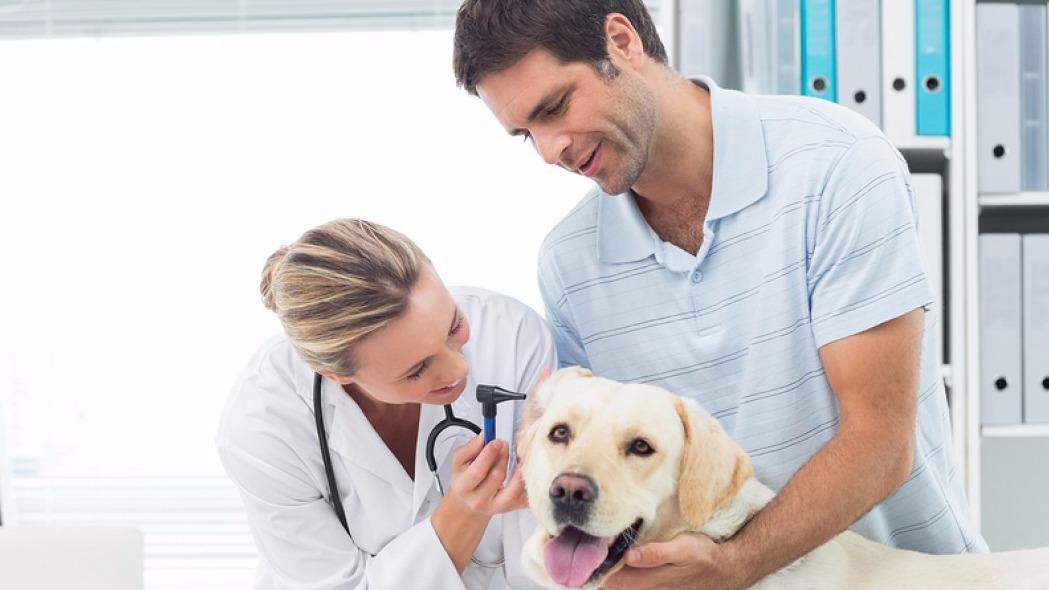 Ark La Tex Animal Clinic