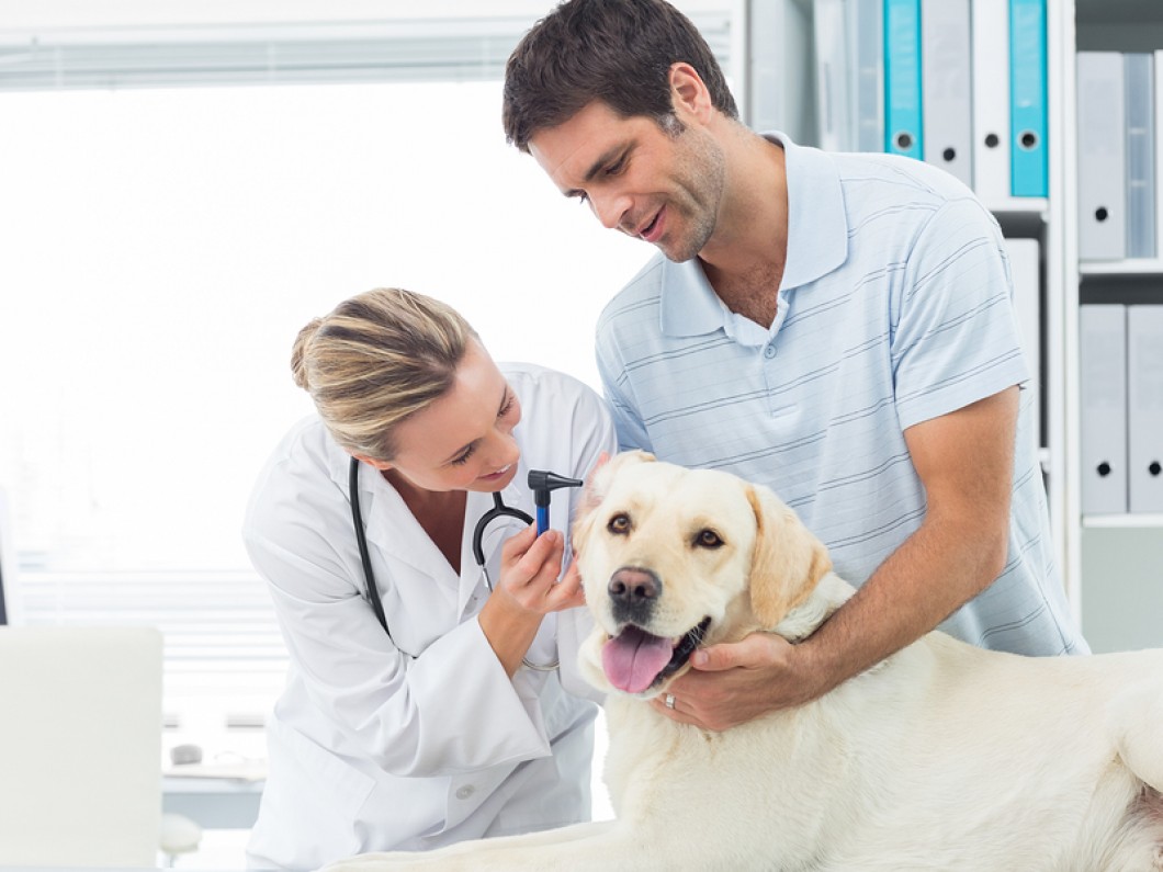 Ark La Tex Animal Clinic