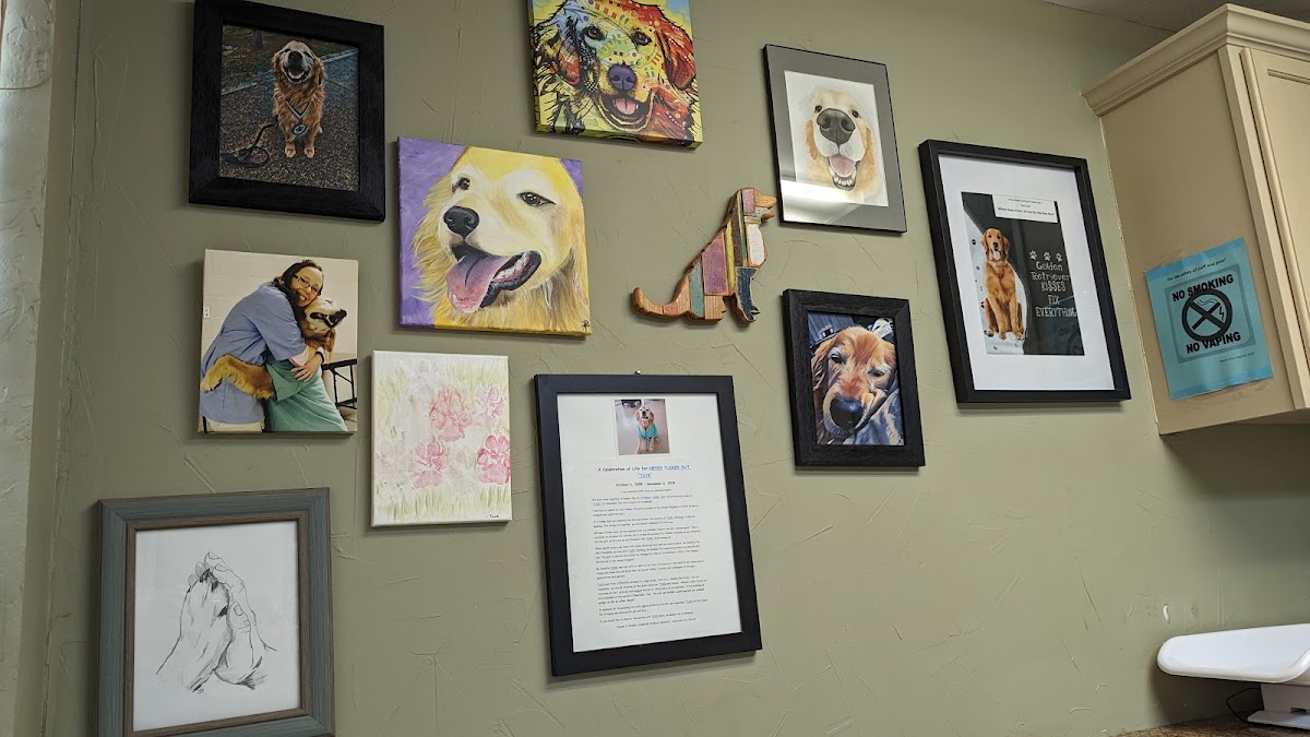 Care Pet Clinic Texarkana