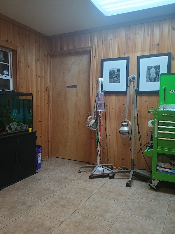Broken L Veterinary Services, PLLC