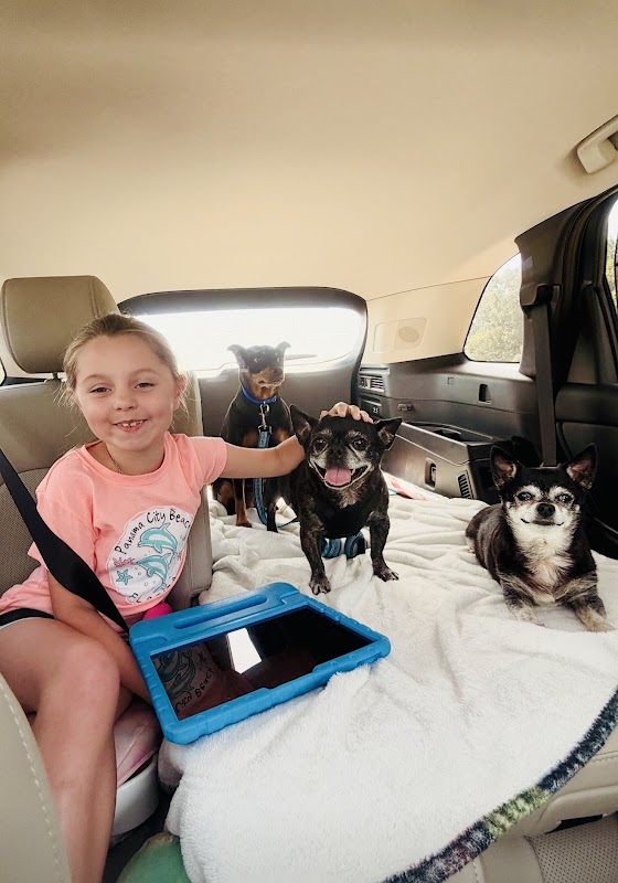 Stateline Animal Hospital: Dr. Jim Shively (Dr. Dog)