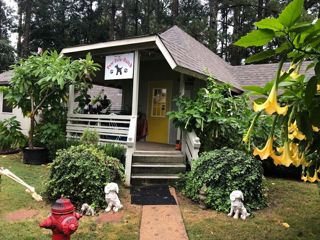 Paw Paw Patch