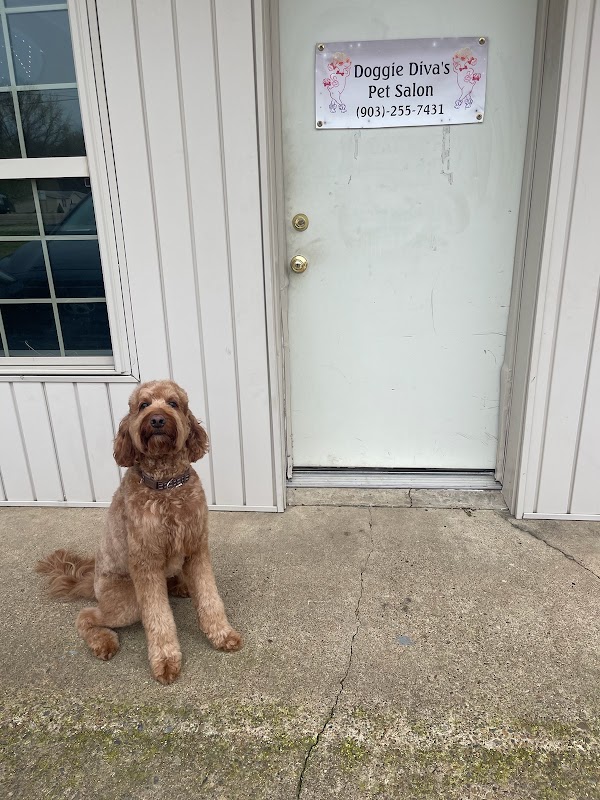 Doggie Diva's Pet Salon