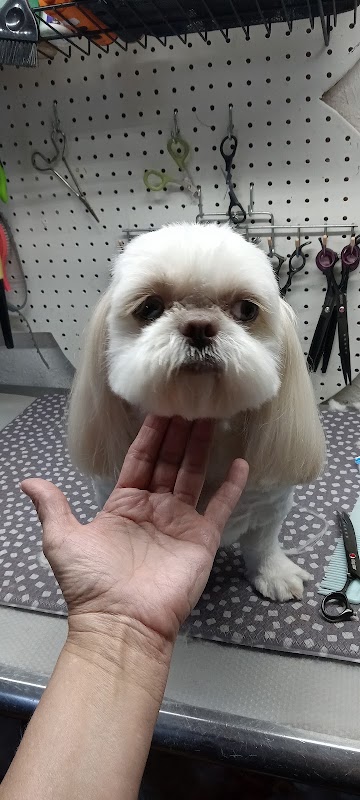 Carla's Pampered Pets