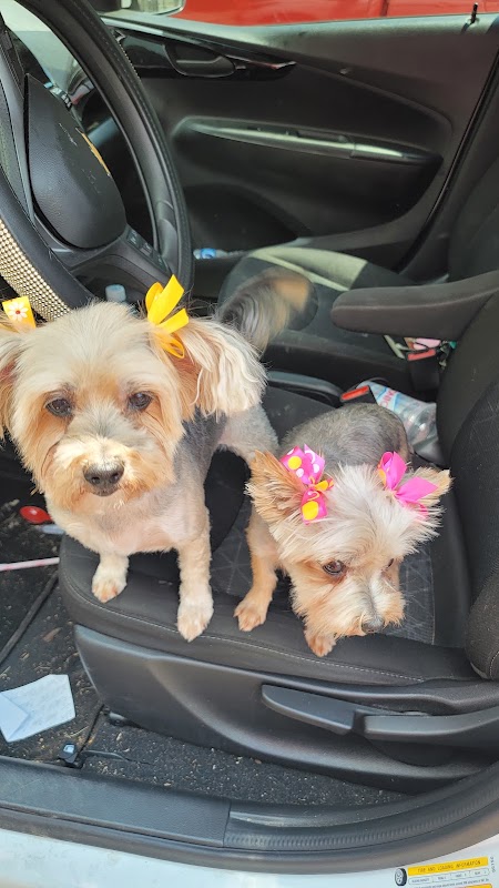 Georgia's Pet Salon & Boutique
