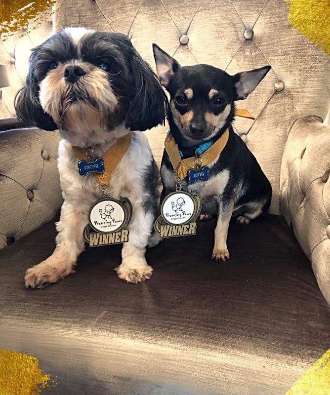Prancing Paws Doggie Daycare