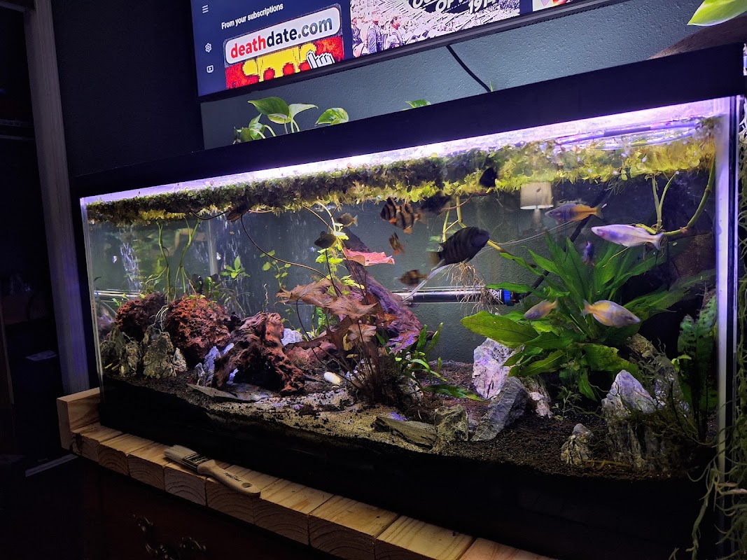 Paradise Pet Shop