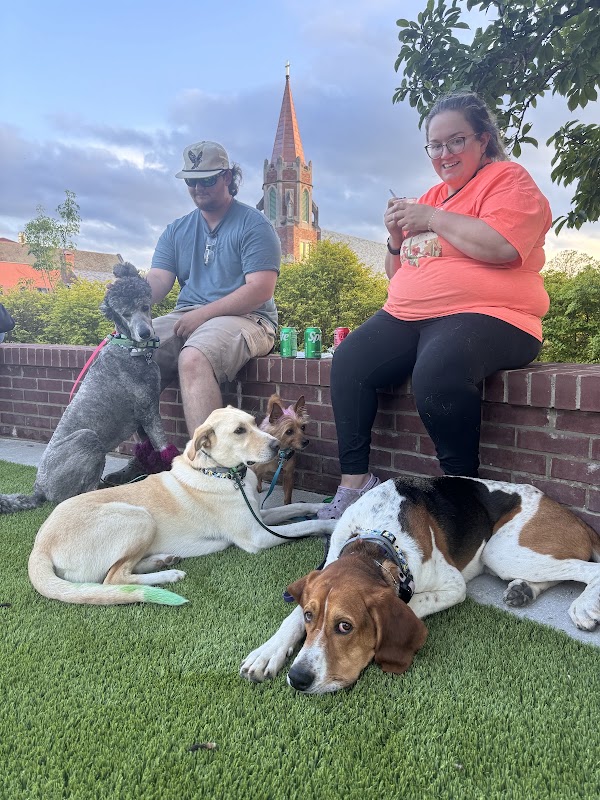 MuttWorks Dog Training