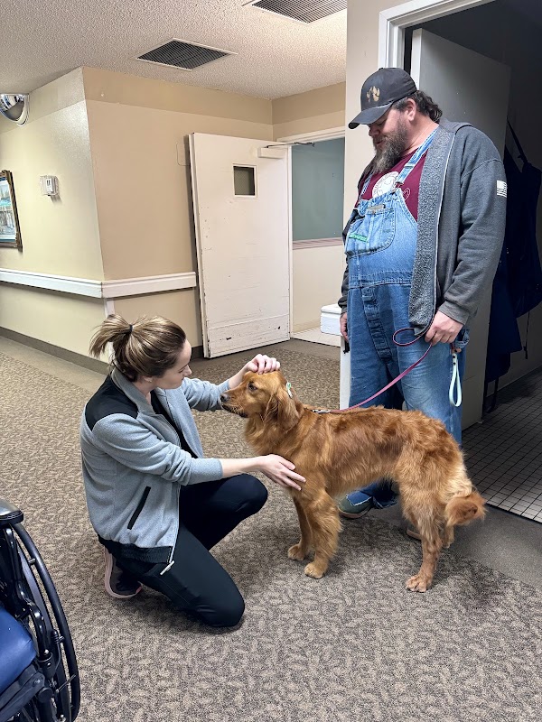 MuttWorks Dog Training