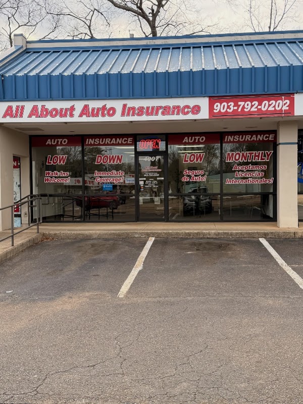 All About Auto Insurance