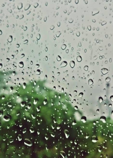 🌧️ TEXARKANA SETS RAINFALL RECORD